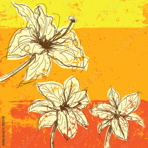 Fototapeta Naklejka Na Ścianę i Meble -  Lily sketches
