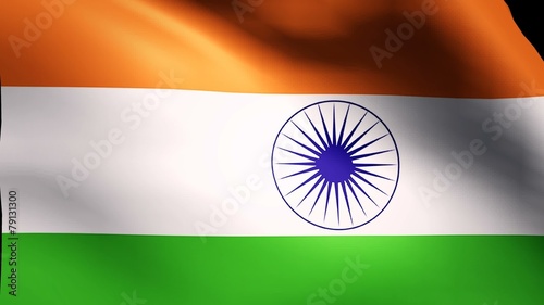 India flag loop photo