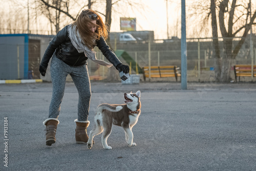 Siberian Hasky Utah