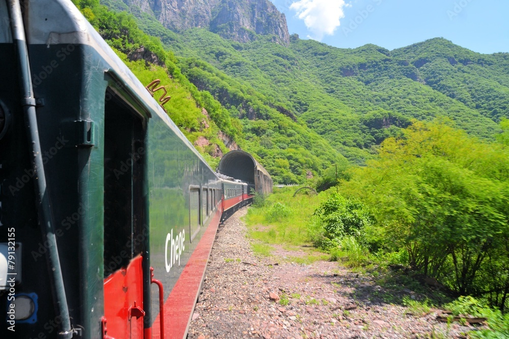 Fototapeta premium Pociąg El Chepe w Miedzianym Kanionie w Meksyku