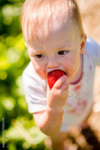 Little kid eating strawberry