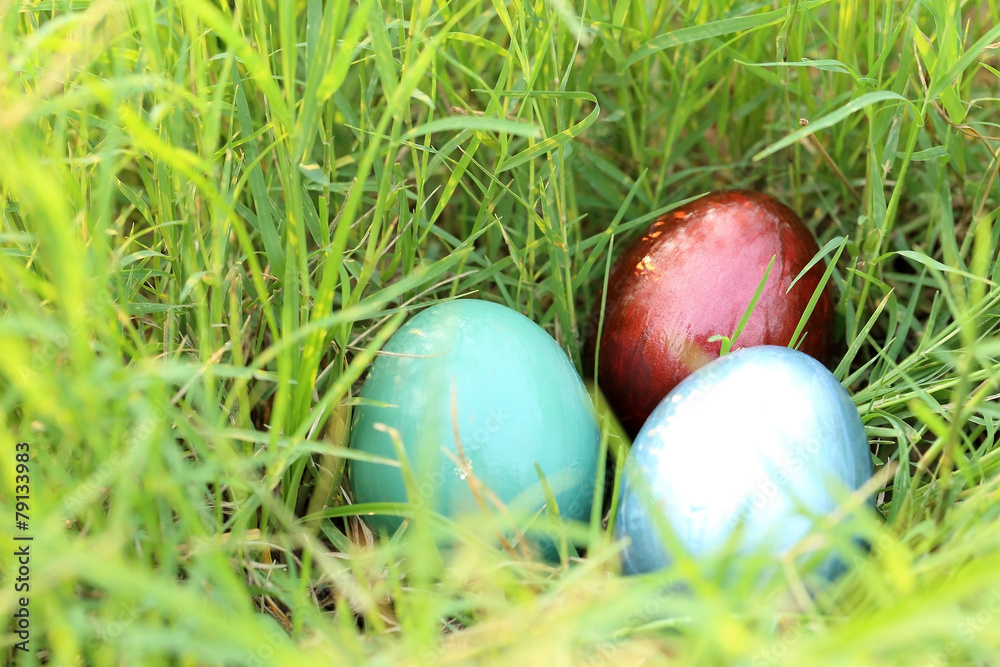 Colorful easter eggs hidden in dense grasses. Colorful easter eggs hidden in dense grasses.