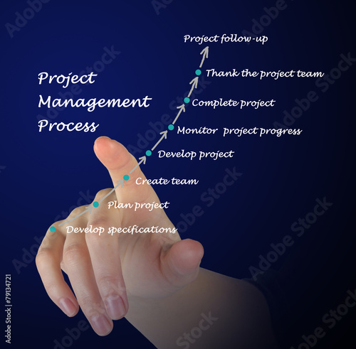 Project Management Process photo