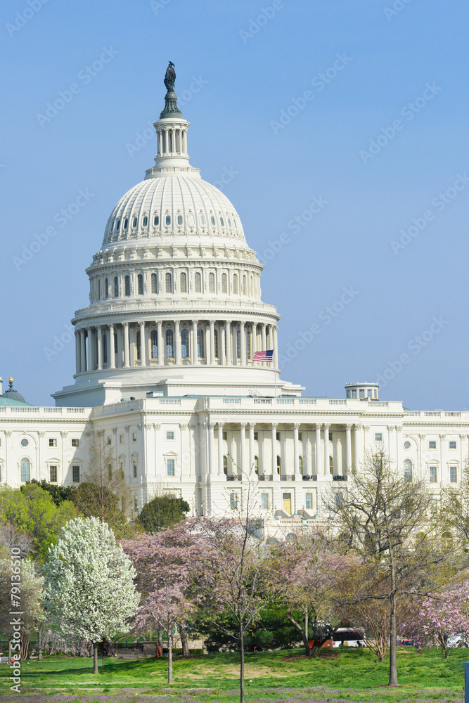 Washington DC, United States Capitol Building in Spring