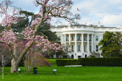 White House in Spring - Washington DC USA photo