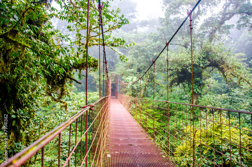 Bridge in Rainforest - Costa Rica - Monteverde