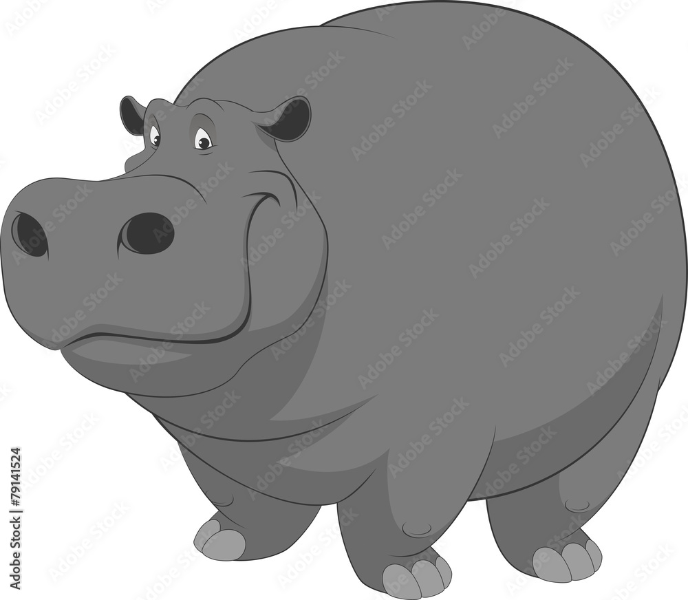 Fototapeta premium Funny hippo