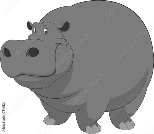 Funny hippo