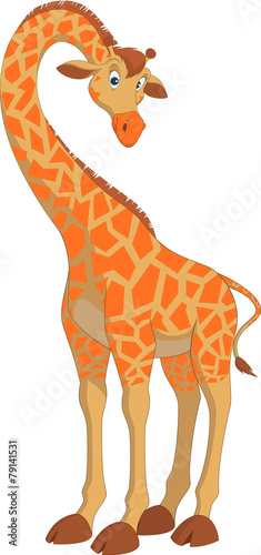 Funny giraffe