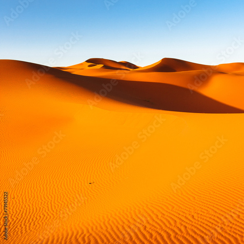 Sand Dunes in the Sahara Desert in Morocco