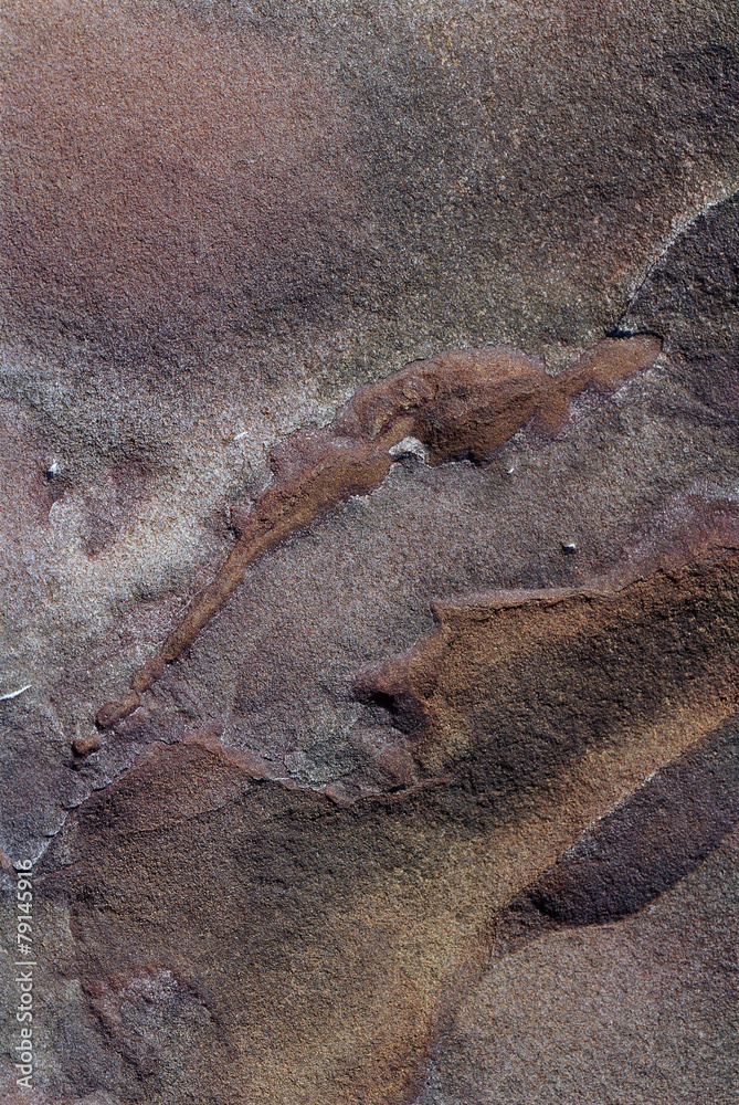 Obraz premium Seria zdjęć