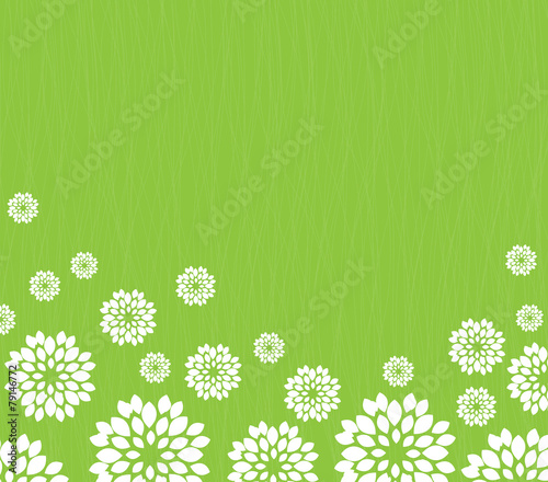 Spring flowers