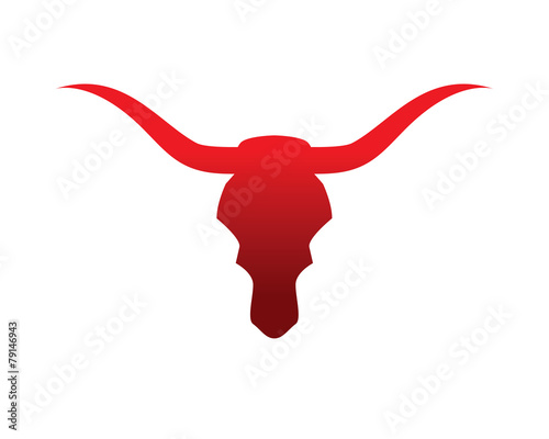 bull bone skull