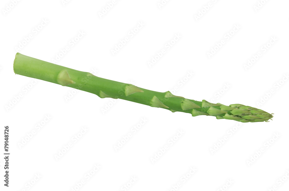 Fototapeta premium 포토시리즈