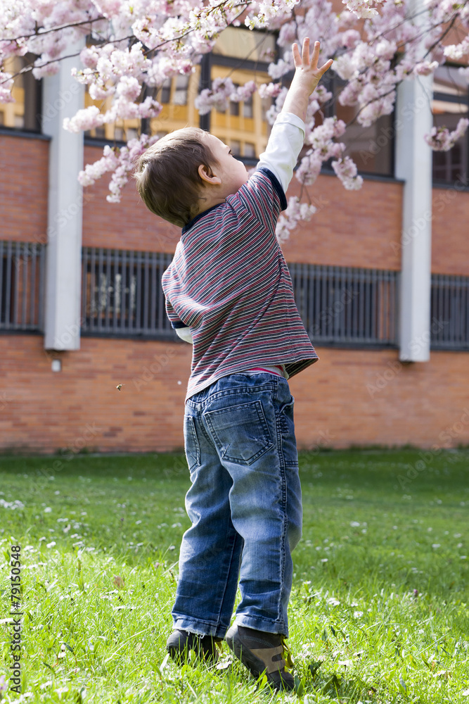 Fototapeta premium Child under cherry tree in spring