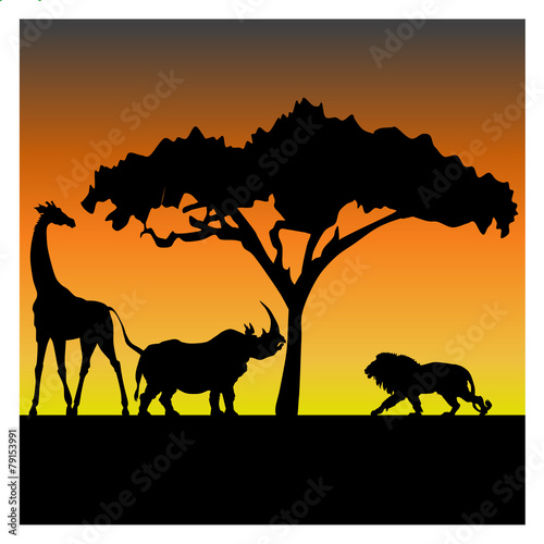 Silhouettes of a giraffe  a rhino and a lion