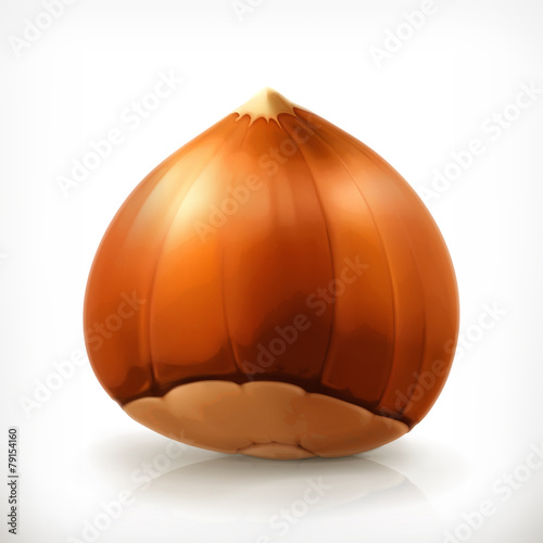Hazelnut, vector icon