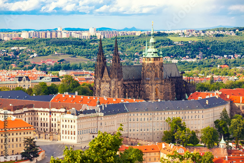 Fototapeta Cathedral Saint Vitus in Prague