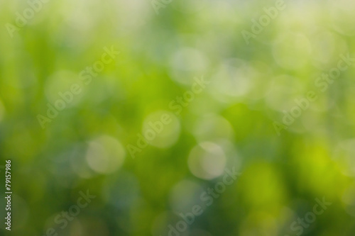 Green leaf blurred