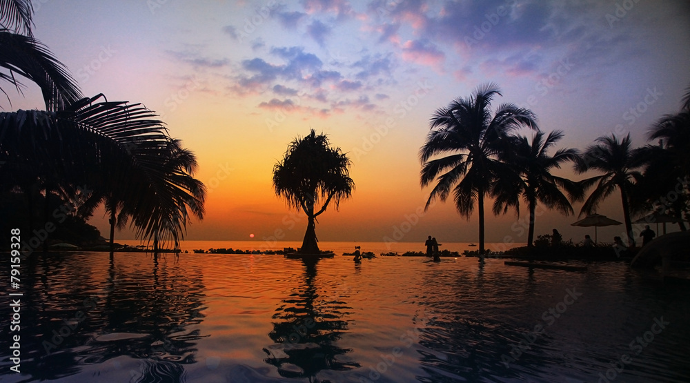 palm sea sunset evening landscape journey