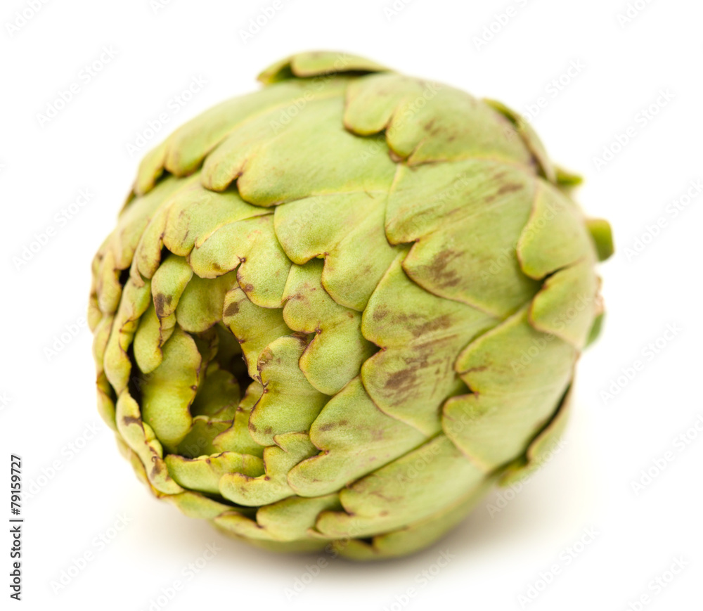 Fototapeta premium globe artichoke