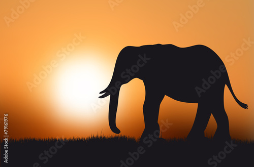Silhouette of elephant at sunset