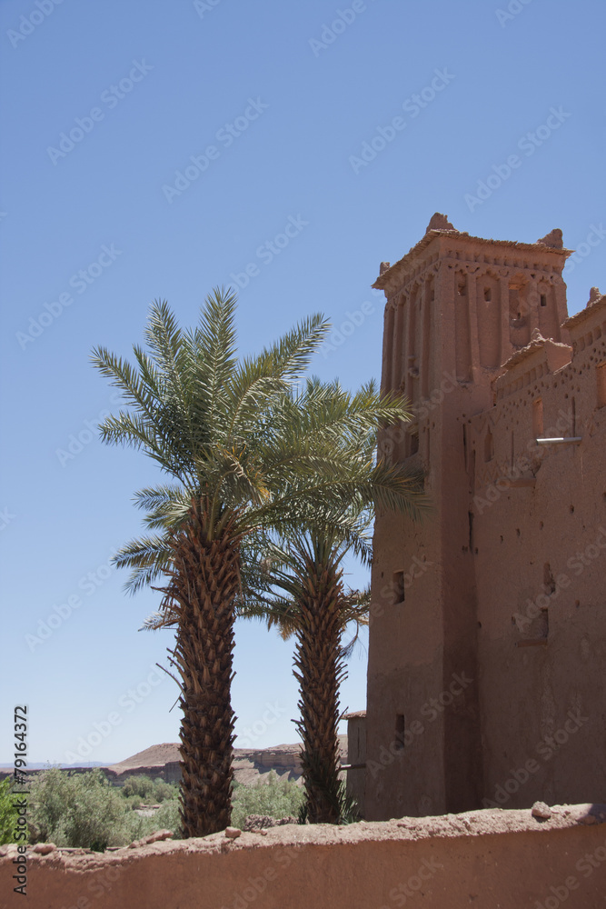 Obraz premium Kasbah edificio e palme