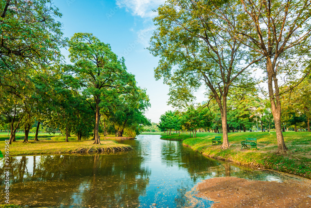 Beautiful evening light in public park