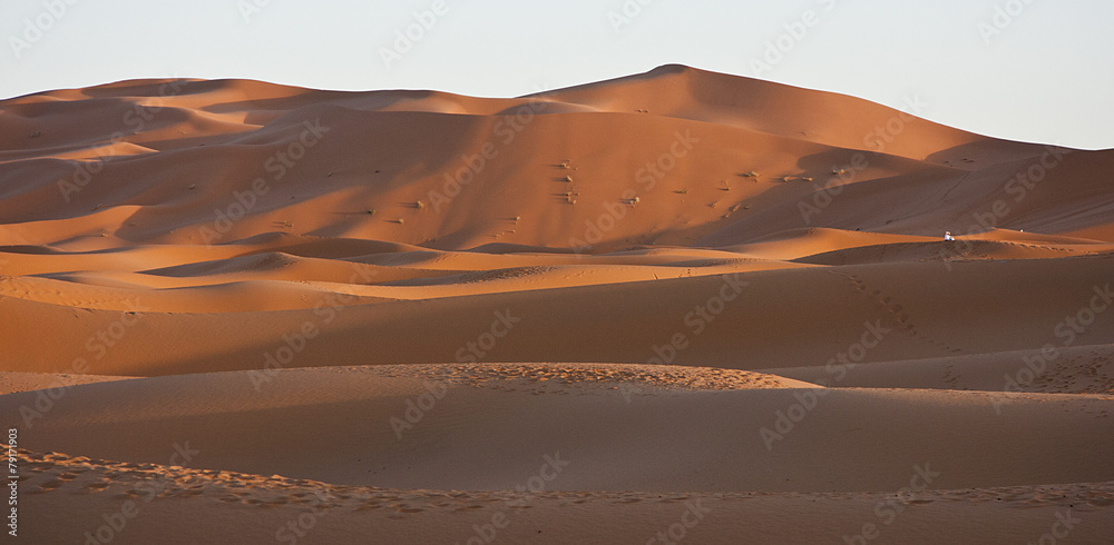 Naklejka premium Deserto Sahara tramonto dune