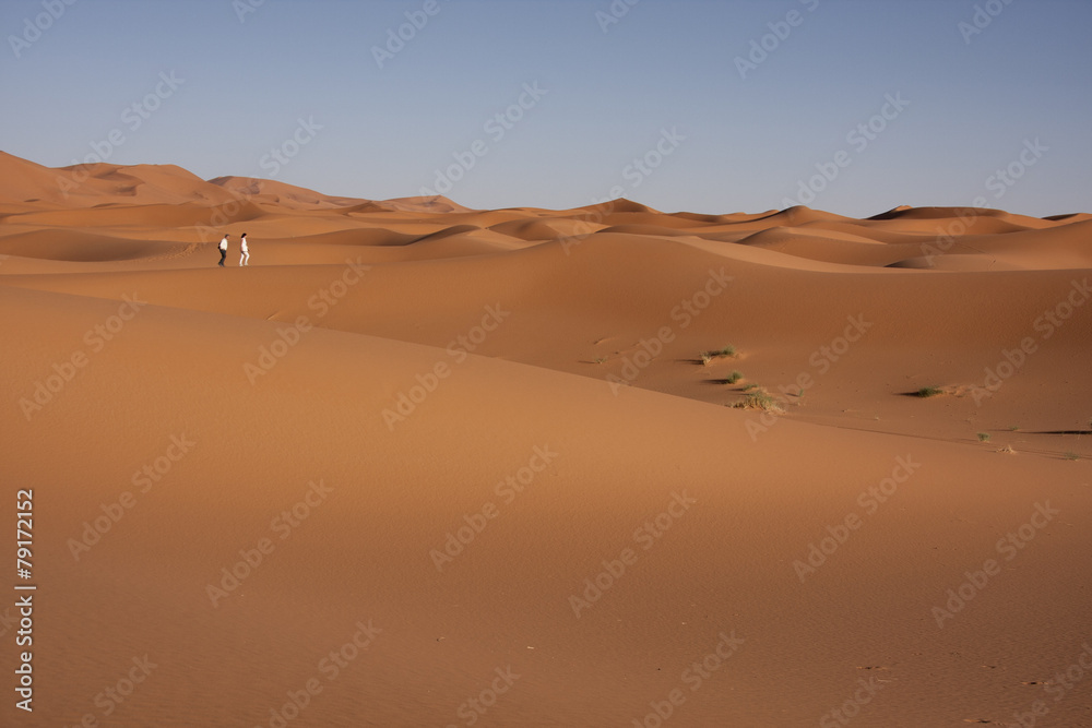 Deserto Sahara dune