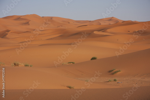 Deserto Sahara - Dune tramonto