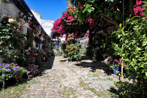 Fototapeta Naklejka Na Ścianę i Meble -  courtyard decorated with flowers, Cordoba, Spain