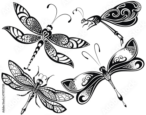 Dragonfly set