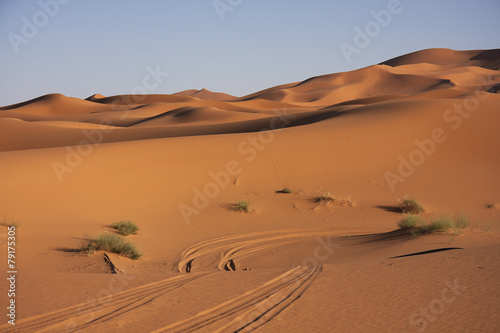 Marocco - dune di sabbia