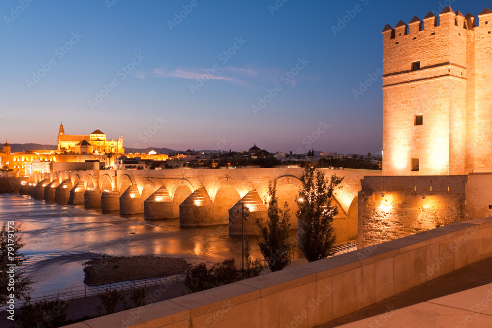 Roman Bridge and Guadalquivir river, Great Mosque, Cordoba, Spai