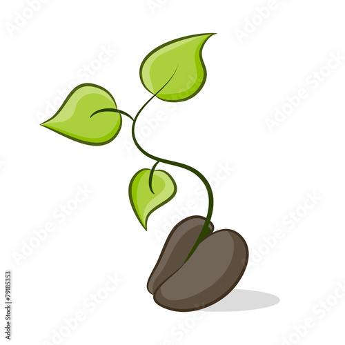 New Plant Growth