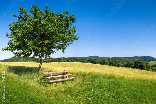 Fototapeta Naklejka Na Ścianę i Meble -  Grüne Landschaft im Odenwald