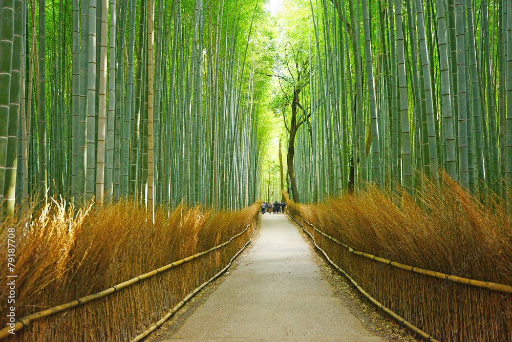 Naklejka premium bambusowy rowek