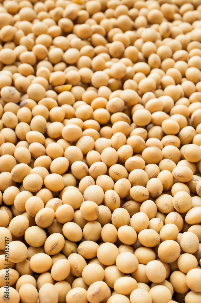 Soy pods Soy pods