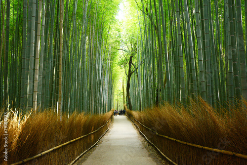 Fototapeta Naklejka Na Ścianę i Meble -  bamboo groove