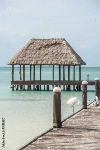 Wooden and Hut Palapa Pier with segals and birds Holbox  Tropica