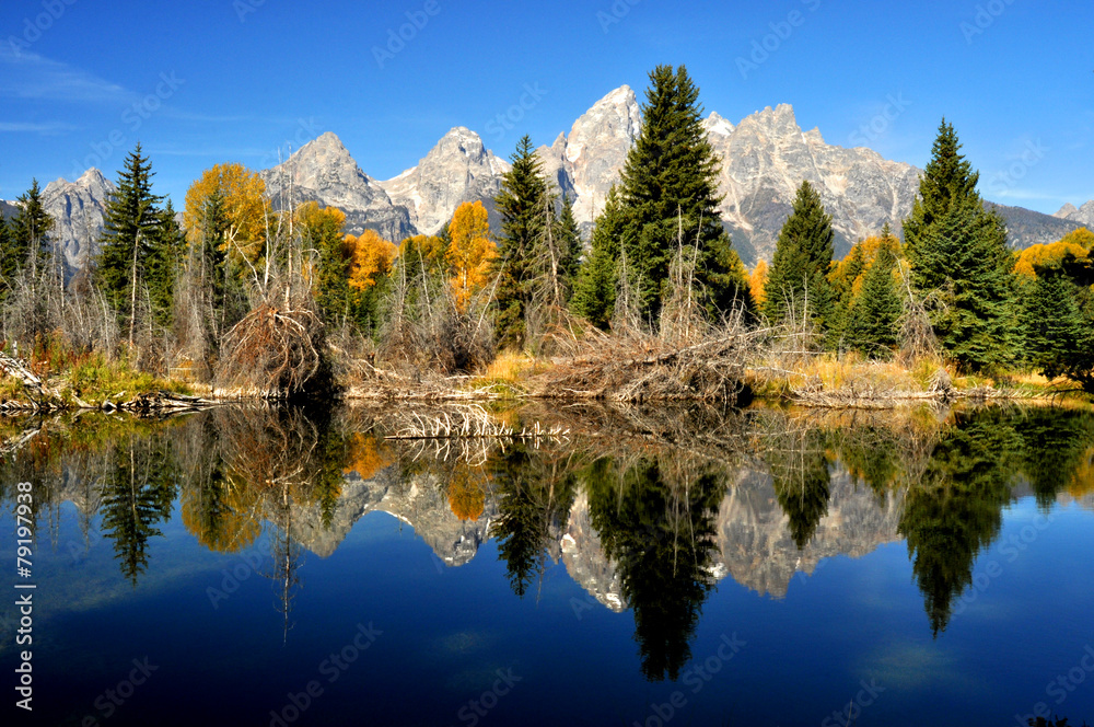 Water reflections in a clear pond in the Grand Tetons.