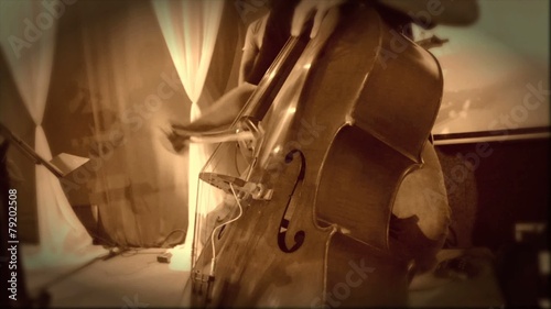 Double Bass Musical Instrument