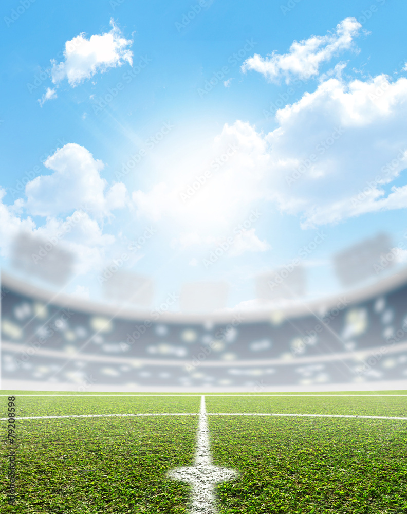 Naklejka premium Stadium And Soccer Pitch