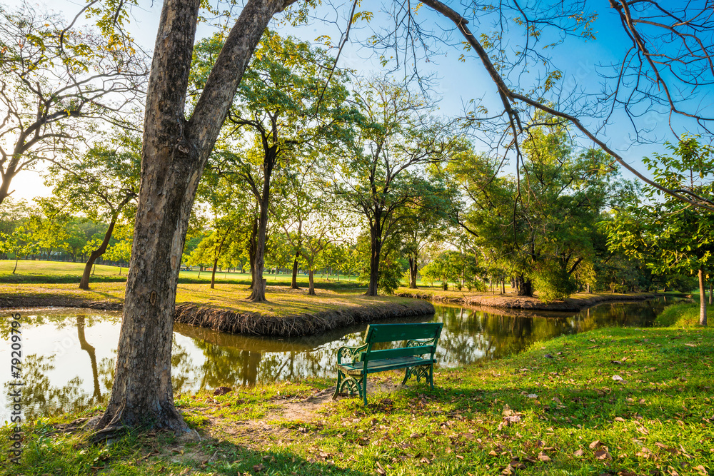 Bench under the tree in Gardens at sunset Bench under the tree in Gardens at sunset