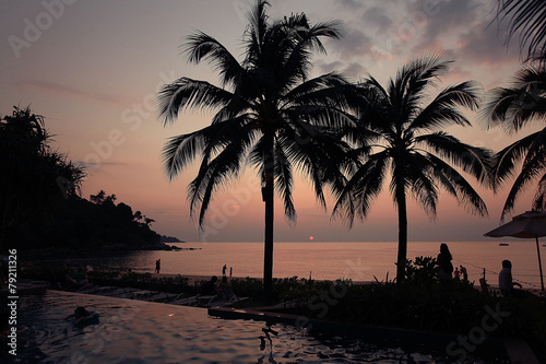 sunset sea beach palms pool