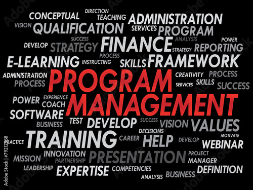 Program Management word cloud, business concept