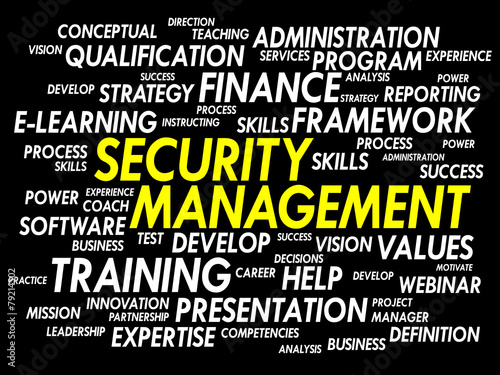 Security Management word cloud, business concept