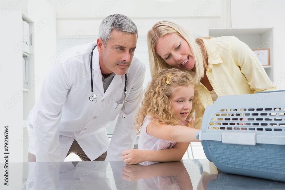 Obraz premium Veterinarian and cat owner looking at cat