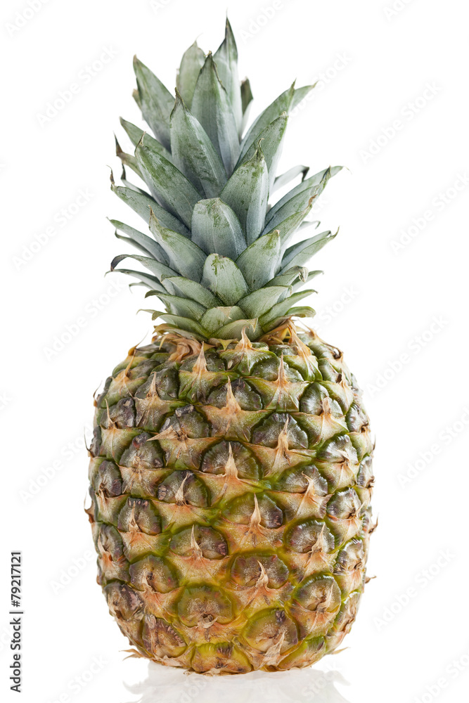 Pineapple Isolated Pineapple Isolated